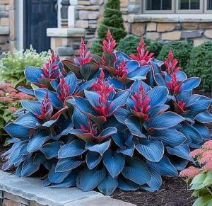 Хоста Грин Фог купить по цене от 669р. в интернет-магазине «Посадика» с доставкой почтой в в Шелехове и по всей России – [изображение №1].