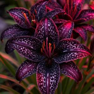 Лилейник Вояж купить по цене от 699р. в интернет-магазине «Посадика» с доставкой почтой в в Шелехове и по всей России – [изображение №1].